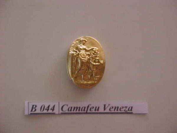 Forma de Silicone de Camafeus