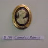 Forma de Silicone de Camafeus