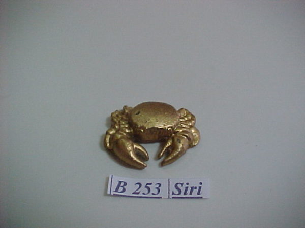 Forma de Silicone de Fundo Mar