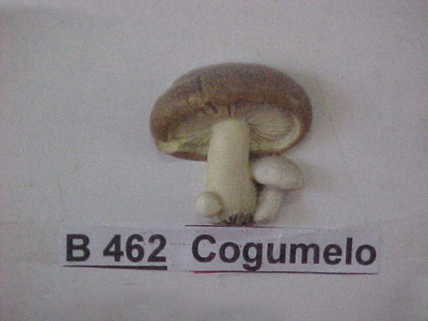 Forma de Silicone de Doces, Frutas e Legumes