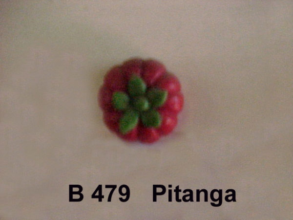 Forma de Silicone de Doces, Frutas e Legumes