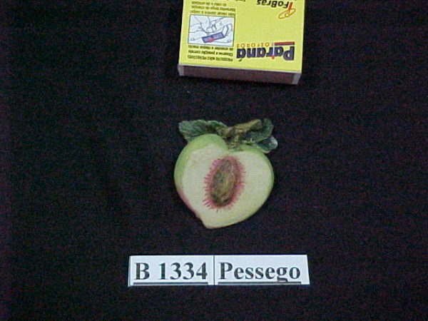 Forma de Silicone de Doces, Frutas e Legumes