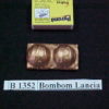 Forma de Silicone de Doces, Frutas e Legumes