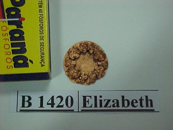 Forma de Silicone de Diversos