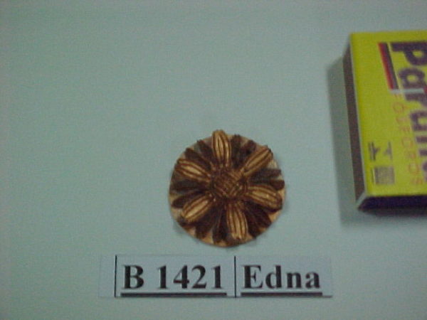 Forma de Silicone de Flores e Folhas