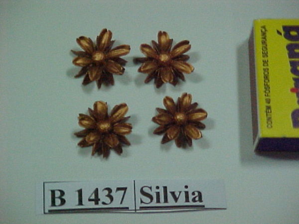 Forma de Silicone de Flores e Folhas