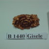 Forma de Silicone de Flores e Folhas