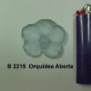 Forma de Silicone de Flores e Folhas