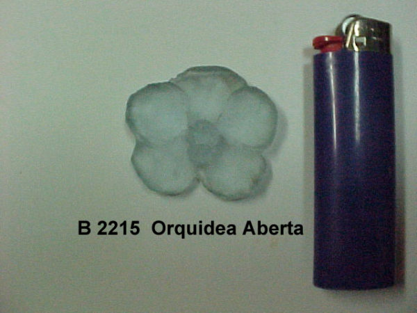 Forma de Silicone de Flores e Folhas