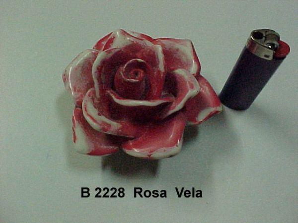 Forma de Silicone de Flores e Folhas