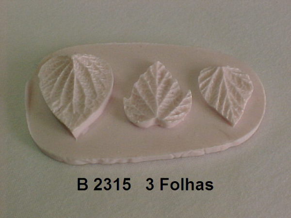 Forma de Silicone de Flores e Folhas