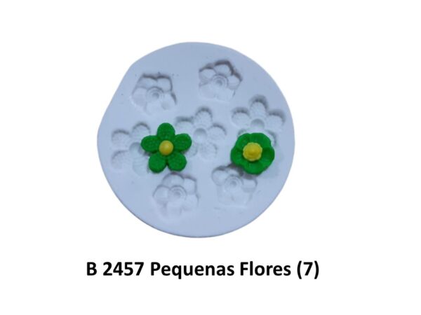 Pequenas Flores (7)