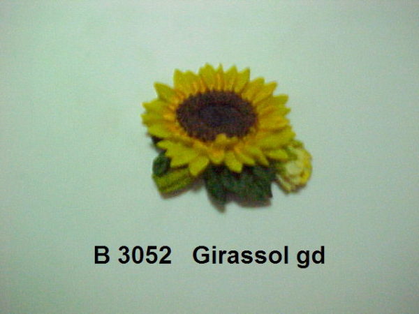 Forma de Silicone de Flores e Folhas