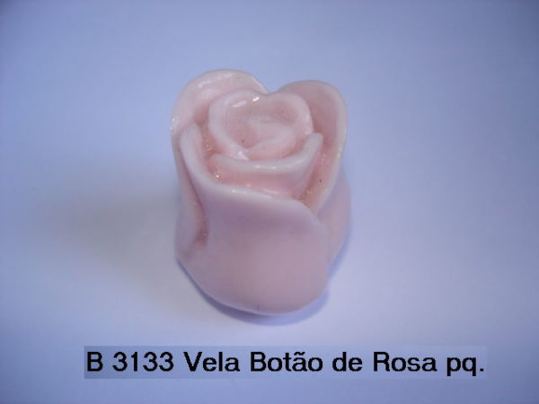 Forma de Silicone de Flores e Folhas