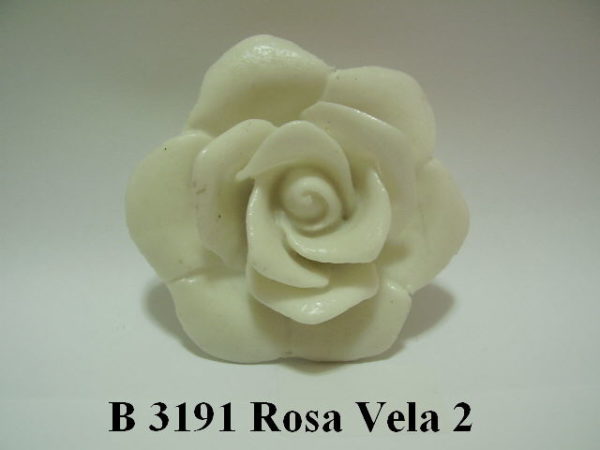 Forma de Silicone de Flores e Folhas