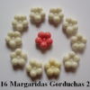 Forma de Silicone de Flores e Folhas