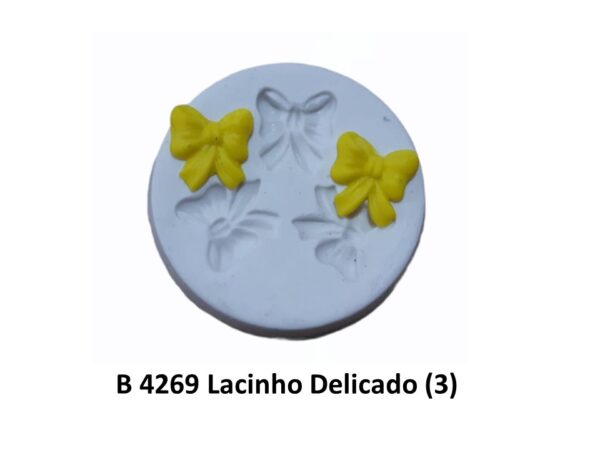 Lacinho Delicado (3)