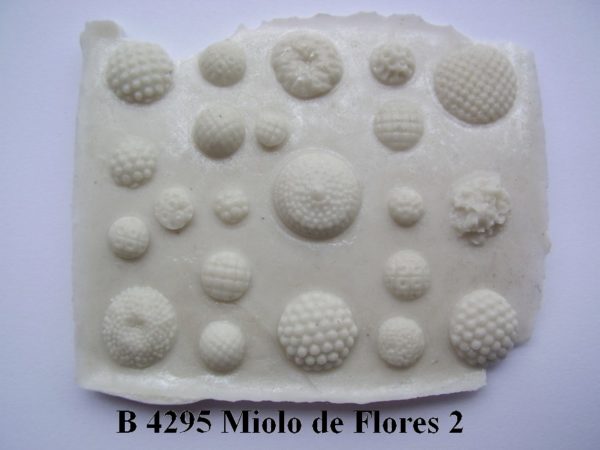 Forma de Silicone de Flores e Folhas