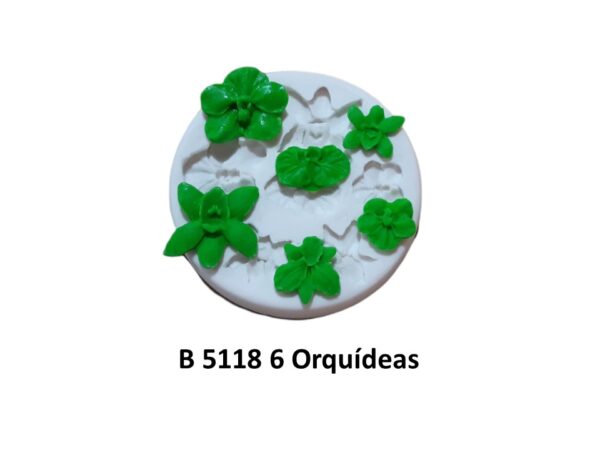 6 Orquídeas
