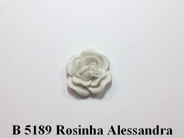 Forma de Silicone de Flores e Folhas