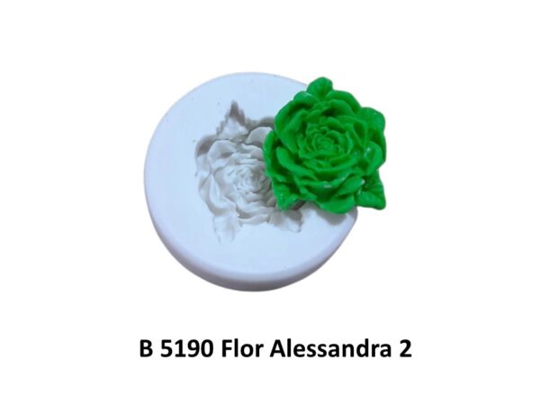 Flor Alessandra 2