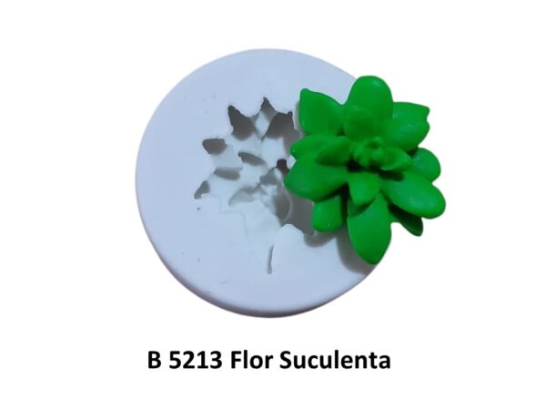 Flor Suculenta