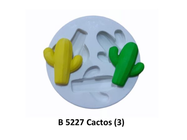 Cactos (3)