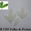 Forma de Silicone de Flores e Folhas