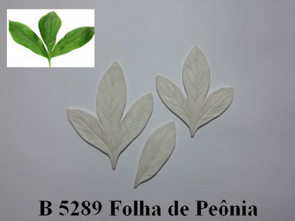 Forma de Silicone de Flores e Folhas