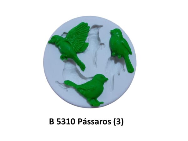 Pássaros (3)