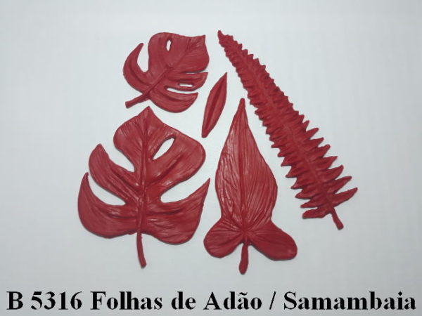 Folhas de Adão / Samambaia