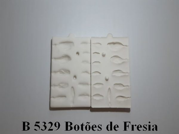 Botões de Fresia