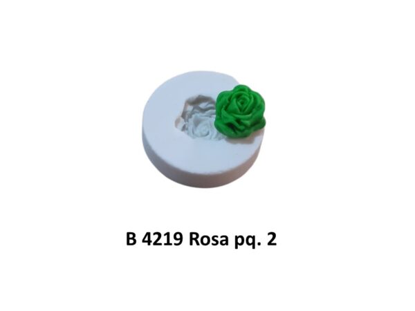 Rosa pq. 2