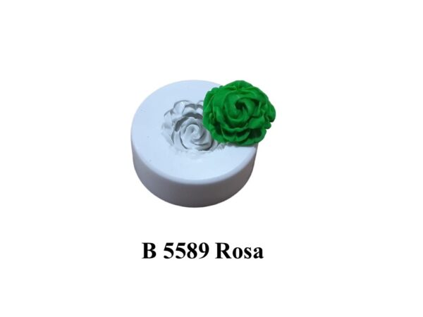 Rosa
